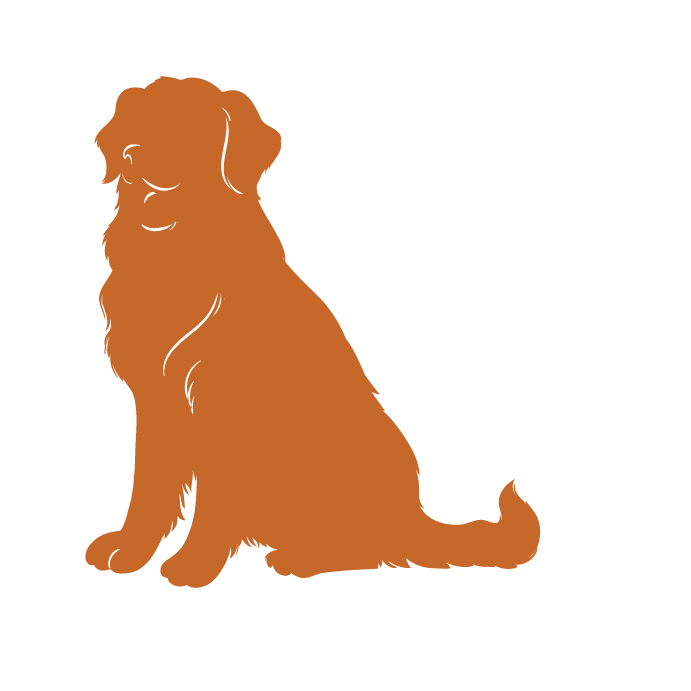 Sitting Orange Dog